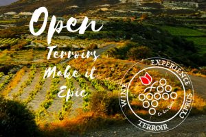 open terroir cyprus epic wine