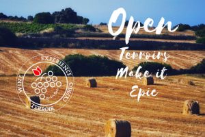 open terroir- open doors wineries cyprus